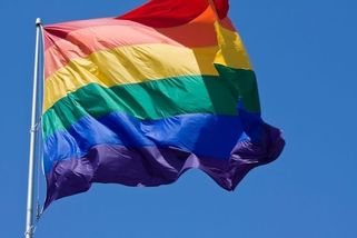 Lidovci nabízejí gayům stejná práva, ale ne manželství - Novinky